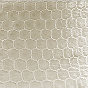 White Snakeskin Leather Belt