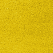 Yellow Plain Textured Leather Belt