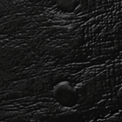 Black Ostrich Textured Leather Belt